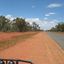 bushmagpie