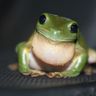 Hilbert