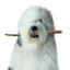 Dulux
